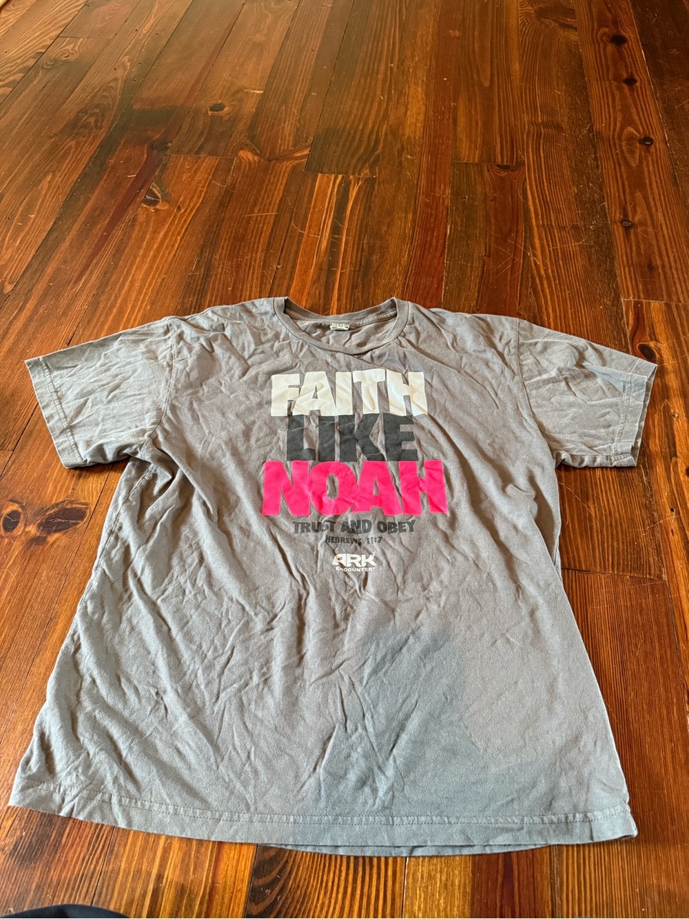 Faith Like Noah Graphic T‑Shirt - Gray with Pink Accent